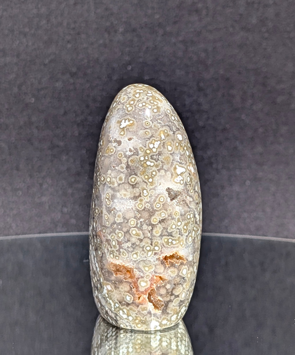Ocean Jasper B