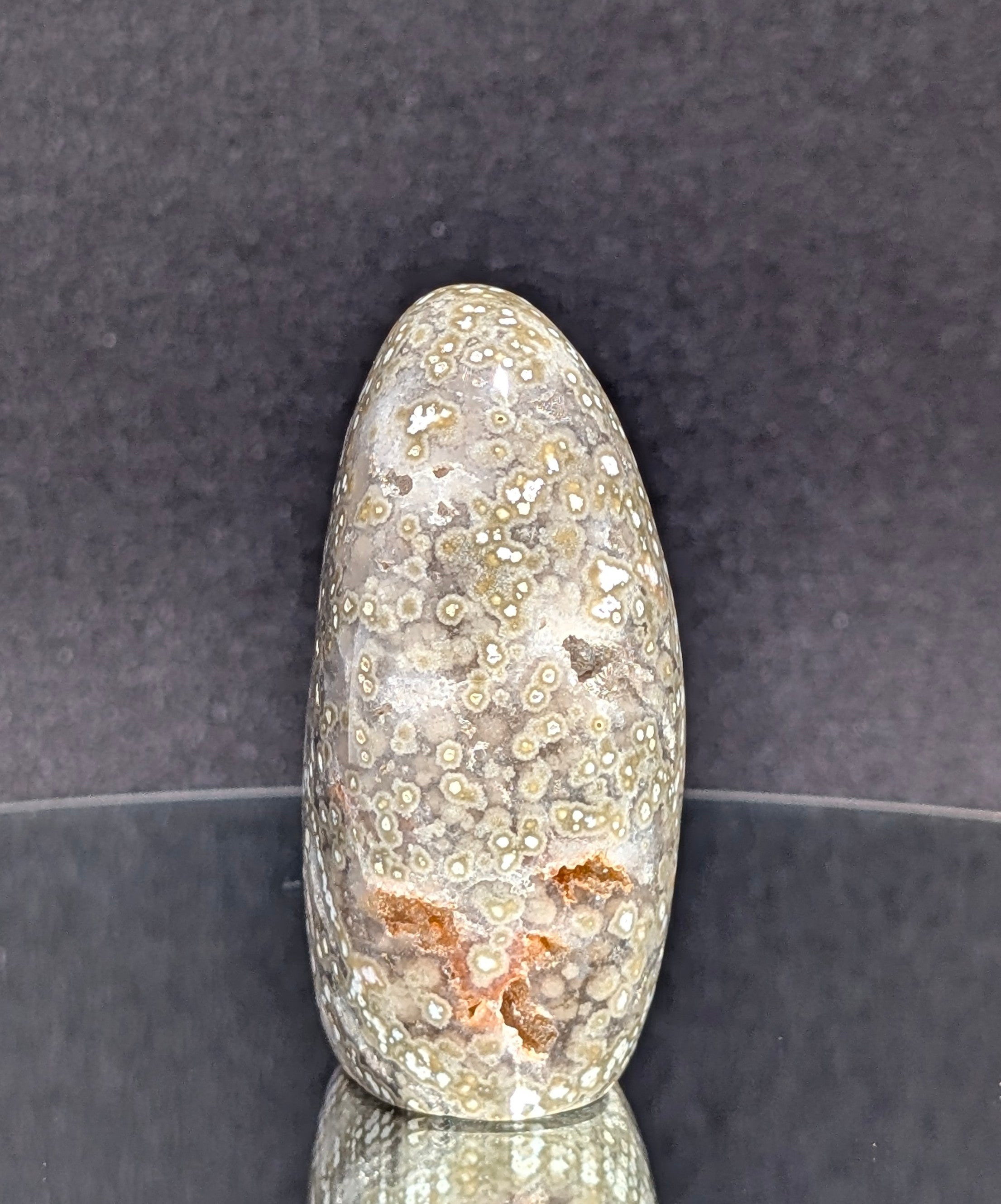 Ocean Jasper B