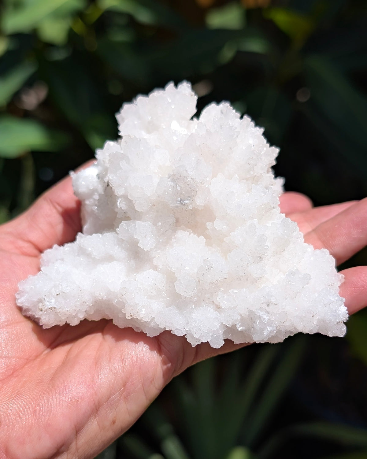 Fluorescent Aragonite Cluster - Opt. N